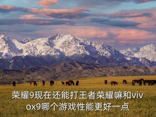 榮耀9現在還能打王者榮耀嘛和vivox9哪個游戲性能更好一點