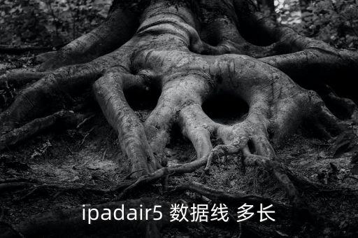 ipadair5 數(shù)據(jù)線 多長