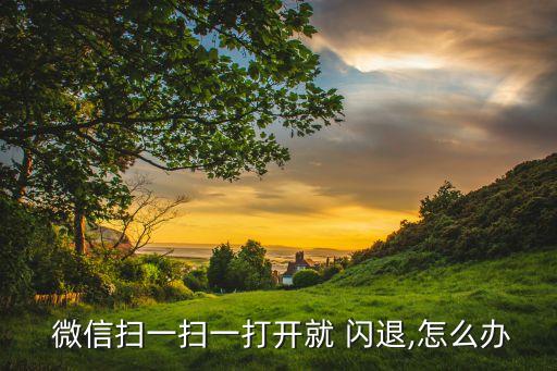 微信數(shù)據(jù)損壞 閃退