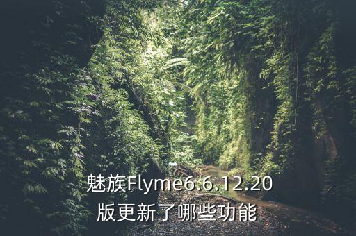  魅族Flyme6.6.12.20版更新了哪些功能