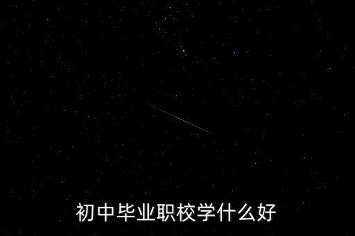 初中畢業(yè)職校學什么好