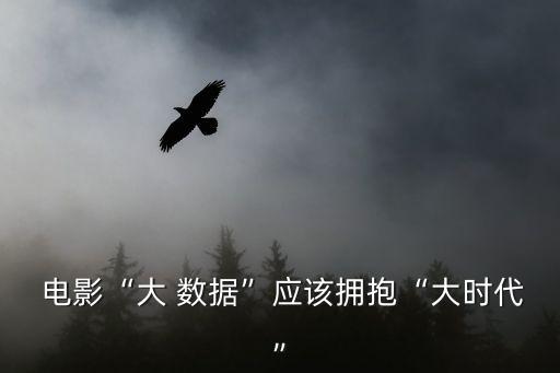  電影“大 數(shù)據(jù)”應(yīng)該擁抱“大時代”