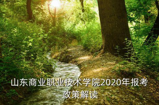 山東商業(yè)職業(yè)技術(shù)學院2020年報考 政策解讀