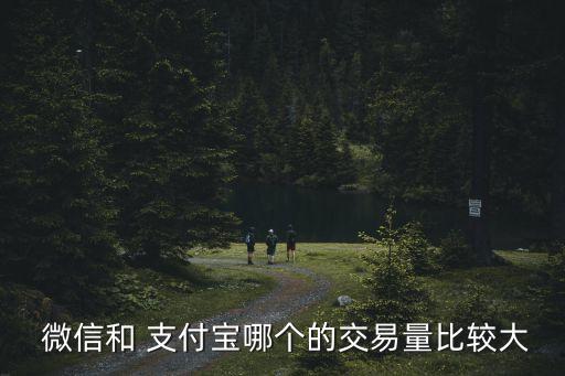 微信支付寶支付數(shù)據(jù)分析