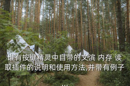 誰有按鍵精靈中自帶的文濱 內(nèi)存 讀取插件的說明和使用方法,并帶有例子...