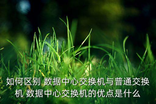 什么是標(biāo)準(zhǔn)數(shù)據(jù)中心大二層網(wǎng)絡(luò)