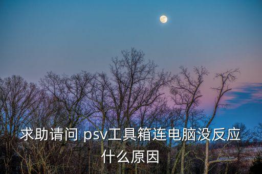 求助請問 psv工具箱連電腦沒反應什么原因