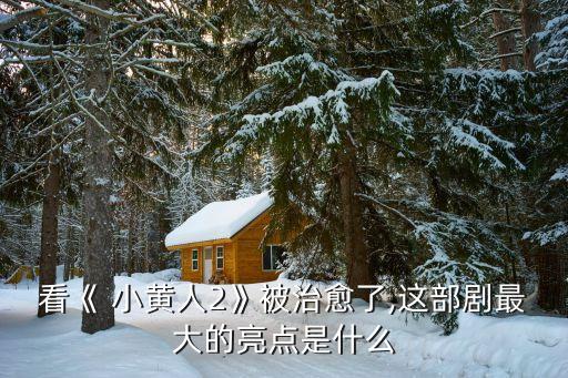 看《 小黃人2》被治愈了,這部劇最大的亮點(diǎn)是什么