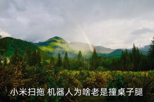 米家掃地機(jī)器人容易壞