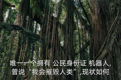 唯一一個(gè)擁有 公民身份證 機(jī)器人,曾說“我會(huì)摧毀人類”,現(xiàn)狀如何