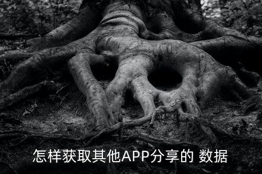 怎樣獲取其他APP分享的 數(shù)據(jù)