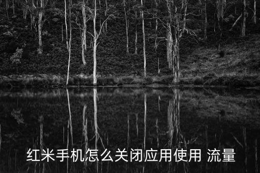  紅米手機怎么關(guān)閉應(yīng)用使用 流量