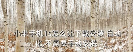 小米怎么弄自動(dòng)安裝,小米手機(jī)自動(dòng)安裝應(yīng)用在哪里設(shè)置