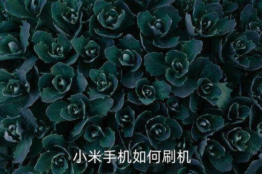  小米手機如何刷機