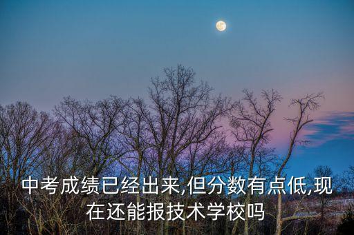 中考成績(jī)已經(jīng)出來,但分?jǐn)?shù)有點(diǎn)低,現(xiàn)在還能報(bào)技術(shù)學(xué)校嗎