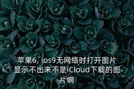 蘋果6, ios9無網(wǎng)絡(luò)時(shí)打開圖片顯示不出來不是iCloud下載的圖片啊