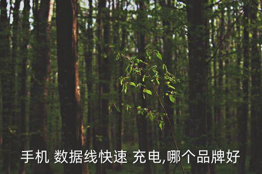 手機 數(shù)據(jù)線快速 充電,哪個品牌好