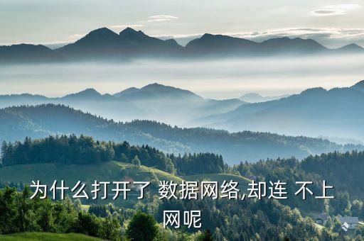 為什么打開了 數(shù)據(jù)網(wǎng)絡(luò),卻連 不上網(wǎng)呢