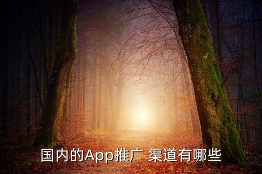 國內(nèi)的App推廣 渠道有哪些