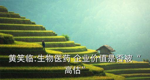 黃笑臨:生物醫(yī)藥 企業(yè)價值是否被“高估”