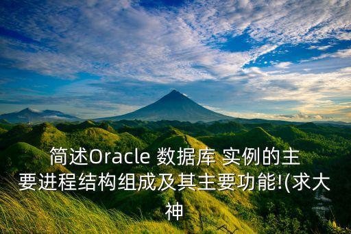 簡(jiǎn)述Oracle 數(shù)據(jù)庫(kù) 實(shí)例的主要進(jìn)程結(jié)構(gòu)組成及其主要功能!(求大神