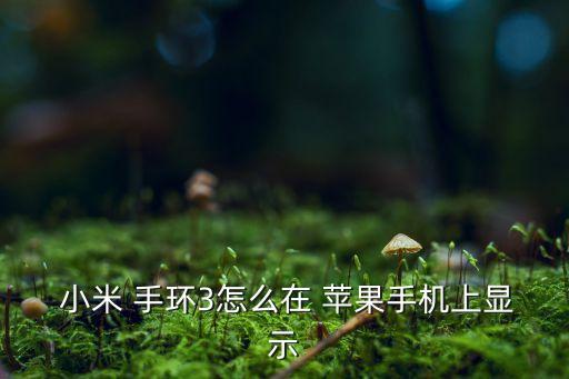 蘋果 健康數(shù)據(jù)只用小米手環(huán),蘋果健康無法讀取小米運(yùn)動(dòng)數(shù)據(jù)
