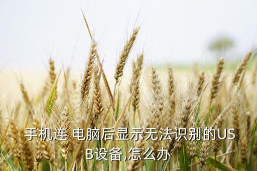  手機(jī)連 電腦后顯示無法識別的USB設(shè)備,怎么辦