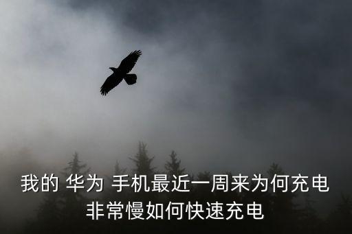 我的 華為 手機(jī)最近一周來(lái)為何充電非常慢如何快速充電
