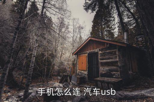 拉汽車的數(shù)據(jù)線,汽車用數(shù)據(jù)線能放音樂嗎?