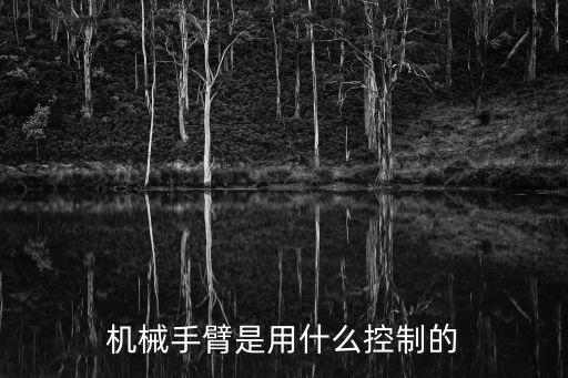 履帶機(jī)器人用什么遙控,大眼睛履帶機(jī)器人叫什么