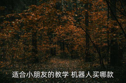 適合小朋友的教學(xué) 機(jī)器人買哪款