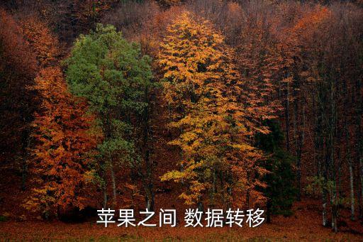 蘋(píng)果之間 數(shù)據(jù)轉(zhuǎn)移