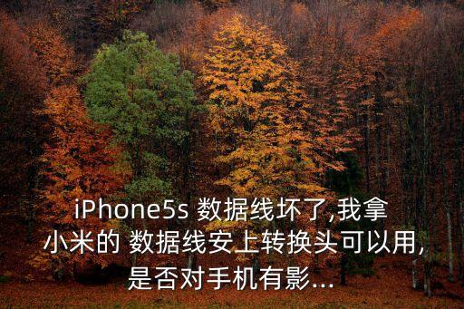 iPhone5s 數(shù)據(jù)線壞了,我拿 小米的 數(shù)據(jù)線安上轉(zhuǎn)換頭可以用,是否對手機有影...