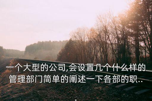 一個大型的公司,會設(shè)置幾個什么樣的管理部門簡單的闡述一下各部的職...