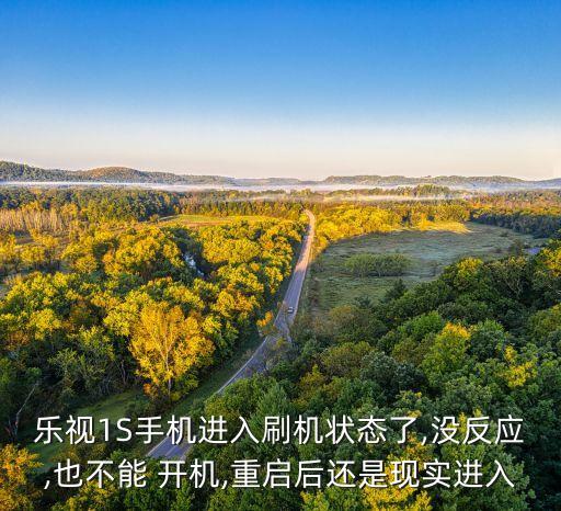 樂視1S手機(jī)進(jìn)入刷機(jī)狀態(tài)了,沒反應(yīng),也不能 開機(jī),重啟后還是現(xiàn)實(shí)進(jìn)入
