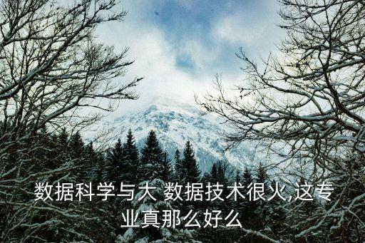  數(shù)據(jù)科學與大 數(shù)據(jù)技術很火,這專業(yè)真那么好么