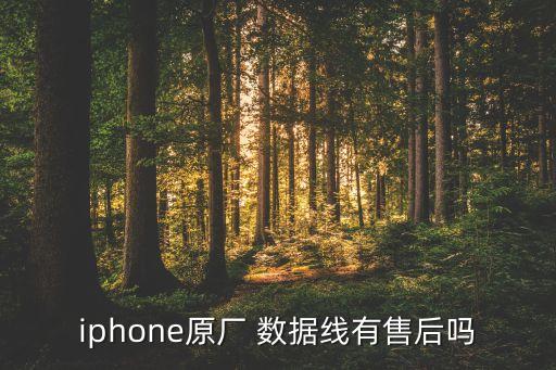 iphone原廠 數(shù)據(jù)線有售后嗎