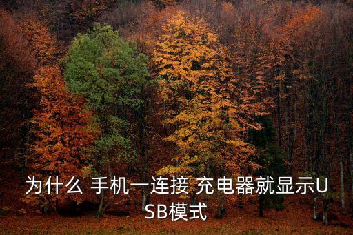 手機(jī)充電線是usb數(shù)據(jù)線,手機(jī)usb只充電不傳輸數(shù)據(jù)