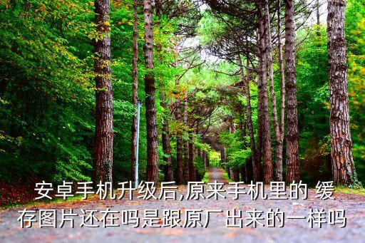 安卓 數(shù)據(jù) 緩存的區(qū)別,手機清除數(shù)據(jù)和清除緩存有什么區(qū)別