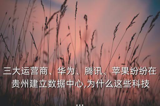 三大運(yùn)營(yíng)商、華為、騰訊、蘋果紛紛在 貴州建立數(shù)據(jù)中心,為什么這些科技...