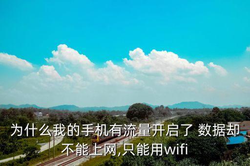 為什么我的手機有流量開啟了 數(shù)據(jù)卻不能上網(wǎng),只能用wifi