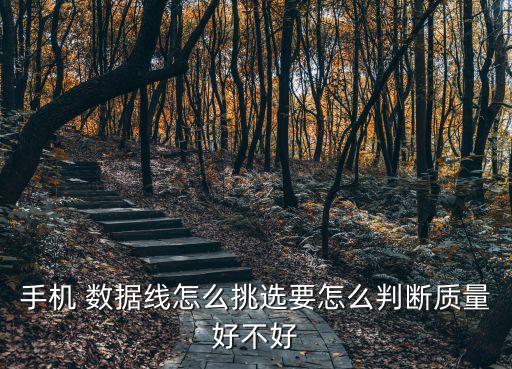 手機(jī) 數(shù)據(jù)線怎么挑選要怎么判斷質(zhì)量好不好