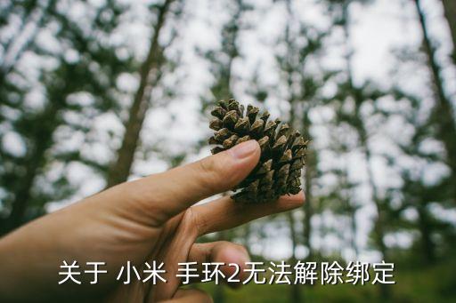 怎么清楚小米手環(huán)數(shù)據(jù)失敗