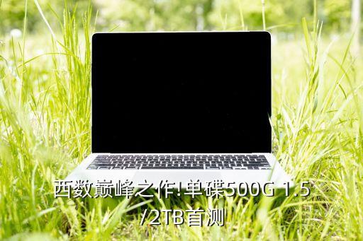 西數(shù)巔峰之作!單碟500G 1.5/2TB首測(cè)