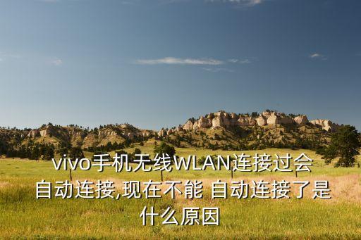 vivo自動(dòng)連wifi密碼錯(cuò)誤