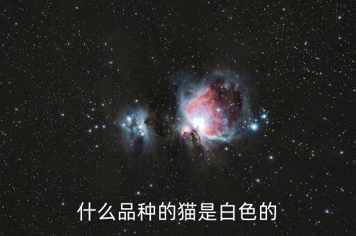 什么品種的貓是白色的