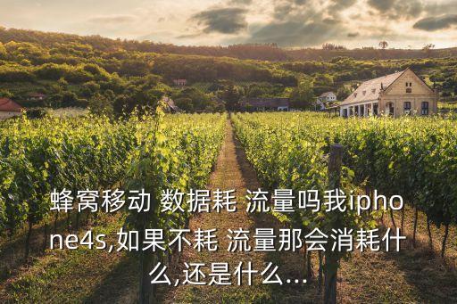 移動(dòng)數(shù)據(jù)要流量么