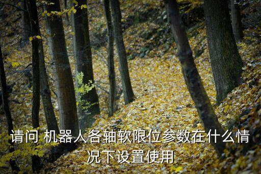 abb機(jī)器人安全機(jī)制,ABB機(jī)器人安全區(qū)域設(shè)置