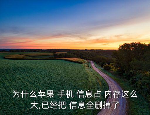 為什么蘋果 手機 信息占 內(nèi)存這么大,已經(jīng)把 信息全刪掉了