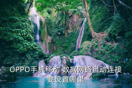 OPPO手機(jī)移動 數(shù)據(jù)網(wǎng)絡(luò)自動連接要設(shè)置哪里